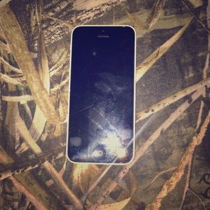 IPhone 5c